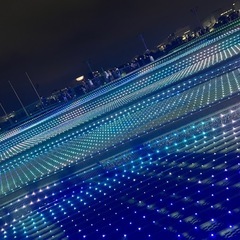 【本日！】東京メガイルミ散策💫