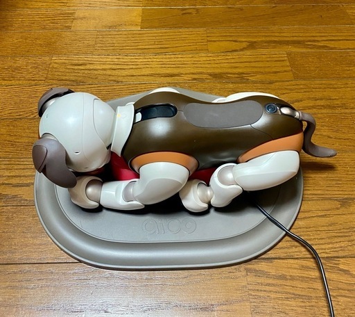 SONY aibo 限定　チョコエディション　　