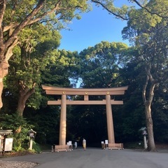 今日、明治神宮に行きませんか？？