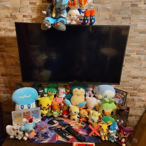 ポケモン　ぬいぐるみ
