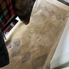 ムートンラグ