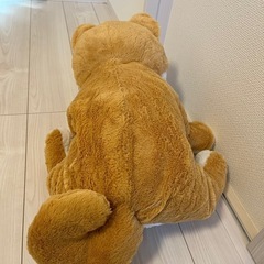 新品　タグ付き　柴犬ぬいぐるみの画像