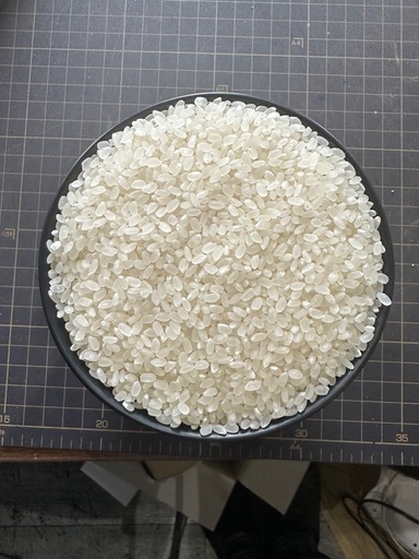 令和6年度産　きぬむすめ