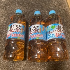 麦茶🍵