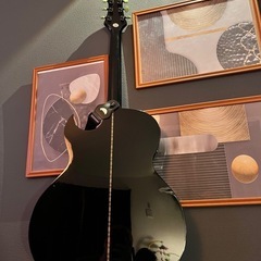 限定版グリーーンギターの画像