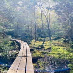 ［登山仲間募集‼️］ゆるぼっちキャンプ・ハイキング△の会🏕 大人のアウトドアサークル - 友達