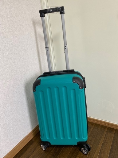 (新品、未使用)20フィートスーツケース
