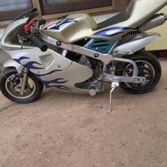 ポケバイの画像