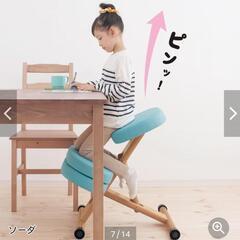 学習椅子 / 姿勢矯正  いすの画像