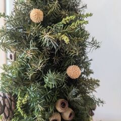ミニクリスマスツリー(ブリザーブドグリーン)高さ２７ｃｍ：Fineの画像