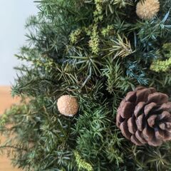 ミニクリスマスツリー(ブリザーブドグリーン)高さ２７ｃｍ：Fineの画像