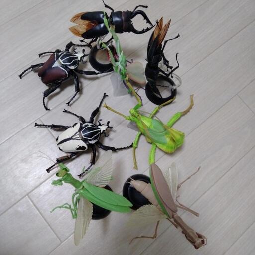 昆虫フィギュア