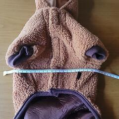 犬　クリスマスウェア　服の画像