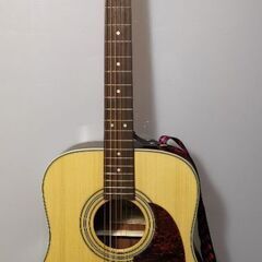 Cort ギターearth70e NS