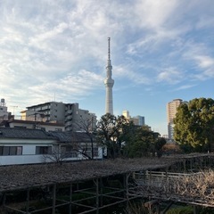 ダメダメ人間ですがお友達になって下さい。 − 東京都