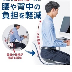 バックジョイ骨盤サポートシートの画像