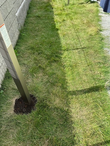 天然芝　約25m2ほど　2024.10月末まで