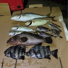 釣り初心者です、、。もし一緒に行ってくださる方居れば！