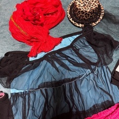 クリスマスや年末のコスプレにいかが(^^)の画像