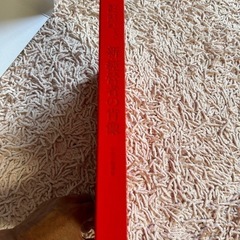 新・經營者の肖像　撮影・海田 悠　プラウドフットジャパンの画像