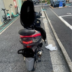 シグナスX 3型　本日限定の画像