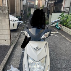 シグナスX 3型　本日限定