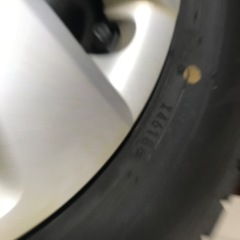 ダンロップ  ウィンターMAXの画像