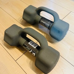 鉄アレイ5kg 2個