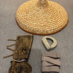 ラーヤ　仮装　ラーヤと龍の王国の画像