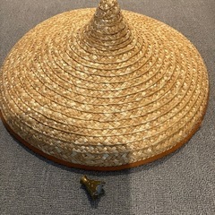 ラーヤ　仮装　ラーヤと龍の王国の画像