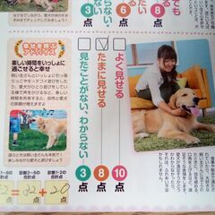 ペット雑誌 「いぬのきもち」 2007年～2023年 89冊セット 不揃い ベネッセの画像