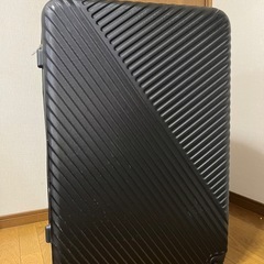 大きいスーツケース