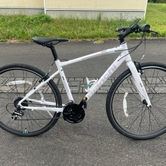 Bianchi C SPORT1