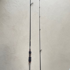 ダイワ DAIWA月下美人 AGS AJING 63LーT