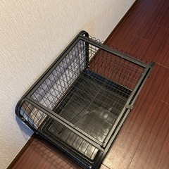 子猫用ゲージの画像