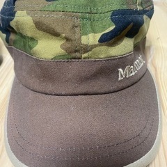 パタゴニア　マーモットの画像