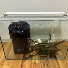 【0円】水槽セット60cm 水槽、照明、フィルター