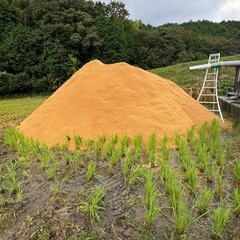 籾殻　スクモ　　ゴミ袋1袋の値段です。