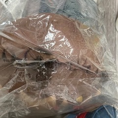 京極真 ぬいぐるみの画像