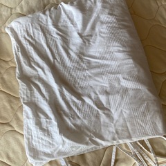 【お取引決定】ニトリ　羊毛入り掛け布団　ダブルサイズの画像