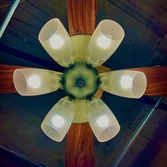 【倉庫保管中】　DAIKO/大光電機 シーリングファン リモコン付き　シーリングファンライト インテリアファンライト 薄型シーリングファンライト サーキュレーター効果 プロペラ　軽量 薄型 6灯 4枚羽根 の画像