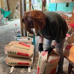 完売いたしました！一等米岩船産コシヒカリ３０キロの画像