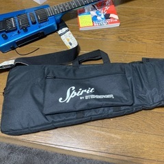 シュタインバーガー　ギター　差し上げます。の画像