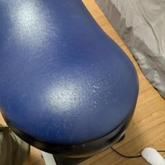 乗馬　National　ジョウバの画像