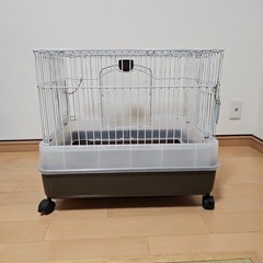 ケージの画像
