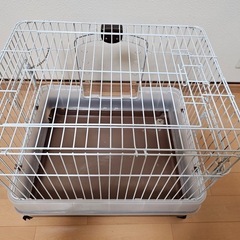 ケージの画像