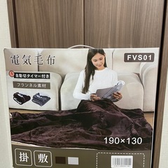 【取置き12/6(金)12:00頃】ダブルサイズ水洗い可能電気毛...