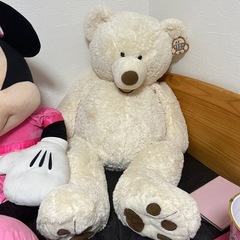 コストコクマ