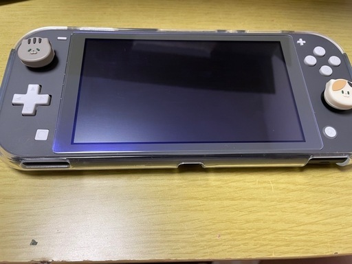 ご近所様10/20のみ　ニンテンドーSwitchライト本体&ドラクエ11S