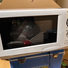 panasosic レンジ
